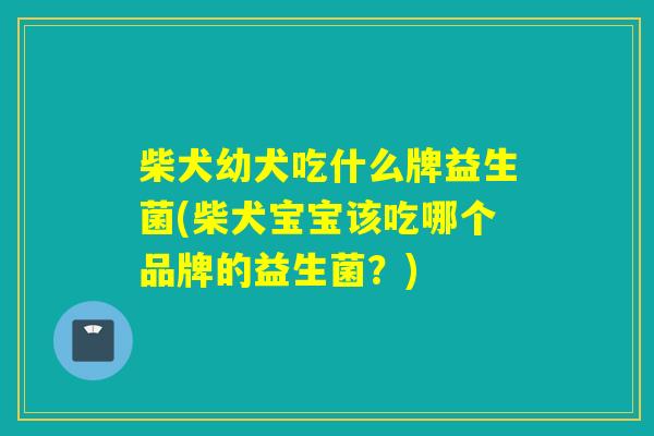 柴犬幼犬吃什么牌益生菌(柴犬宝宝该吃哪个品牌的益生菌？)