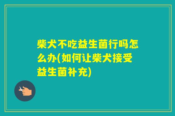 柴犬不吃益生菌行吗怎么办(如何让柴犬接受益生菌补充)