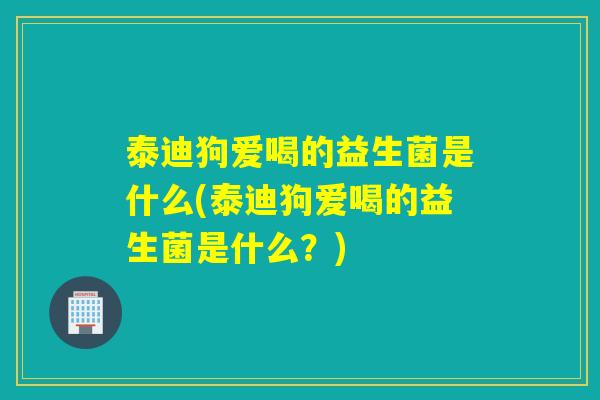 泰迪狗爱喝的益生菌是什么(泰迪狗爱喝的益生菌是什么?) 泰迪狗爱喝的益生菌是什么(泰迪狗爱喝的益生菌是什么?)