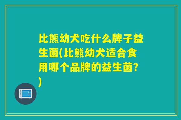 比熊幼犬吃什么牌子益生菌(比熊幼犬适合食用哪个品牌的益生菌?) 比熊幼犬吃什么牌子益生菌(比熊幼犬适合食用哪个品牌的益生菌?)