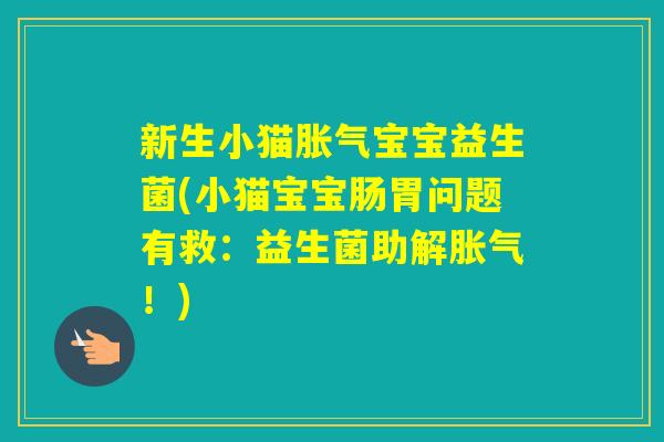 新生小猫宝宝益生菌(小猫宝宝肠胃问题有救:益生菌助解!) 新生小猫宝宝益生菌(小猫宝宝肠胃问题有救:益生菌助解!)