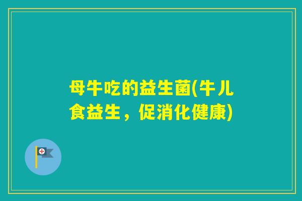 母牛吃的益生菌(牛儿食益生，促消化健康)