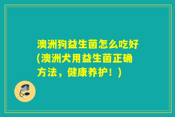 澳洲狗益生菌怎么吃好(澳洲犬用益生菌正确方法,健康养护!) 澳洲狗益生菌怎么吃好(澳洲犬用益生菌正确方法,健康养护!)