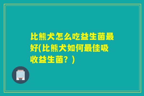 比熊犬怎么吃益生菌好(比熊犬如何佳吸收益生菌？)