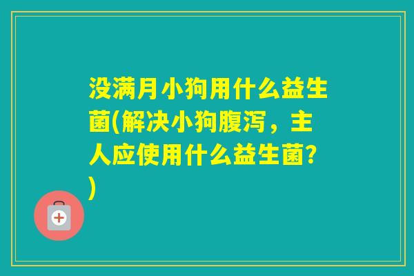 没满月小狗用什么益生菌(解决小狗，主人应使用什么益生菌？)