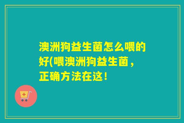 澳洲狗益生菌怎么喂的好(喂澳洲狗益生菌,正确方法在这! 澳洲狗益生菌怎么喂的好(喂澳洲狗益生菌,正确方法在这!