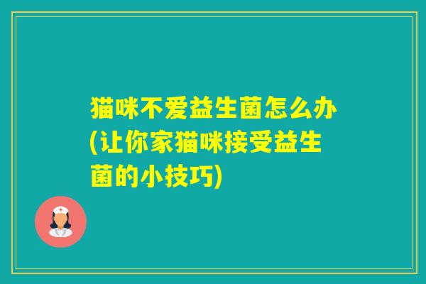 猫咪不爱益生菌怎么办(让你家猫咪接受益生菌的小技巧)