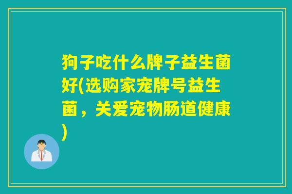 狗子吃什么牌子益生菌好(选购家宠牌号益生菌，关爱宠物肠道健康)