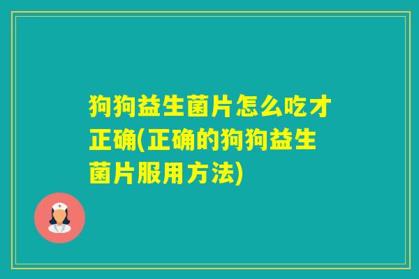 狗狗益生菌片怎么吃才正确(正确的狗狗益生菌片服用方法)