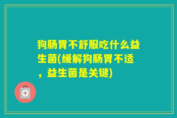 狗肠胃不舒服吃什么益生菌(缓解狗肠胃不适，益生菌是关键)