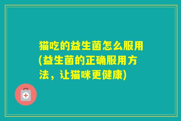 猫吃的益生菌怎么服用(益生菌的正确服用方法，让猫咪更健康)