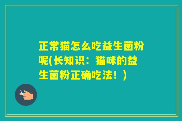 正常猫怎么吃益生菌粉呢(长知识：猫咪的益生菌粉正确吃法！)
