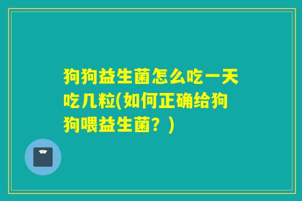 狗狗益生菌怎么吃一天吃几粒(如何正确给狗狗喂益生菌？)