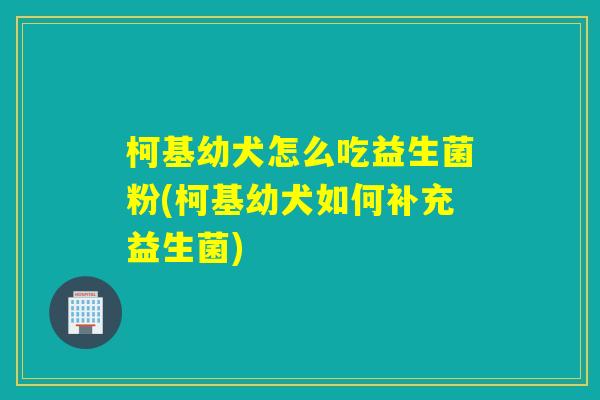 柯基幼犬怎么吃益生菌粉(柯基幼犬如何补充益生菌) 柯基幼犬怎么吃益生菌粉(柯基幼犬如何补充益生菌)