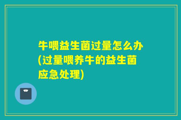 牛喂益生菌过量怎么办(过量喂养牛的益生菌应急处理) 牛喂益生菌过量怎么办(过量喂养牛的益生菌应急处理)