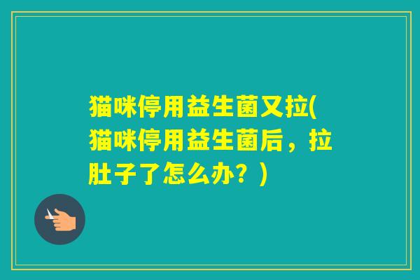 猫咪停用益生菌又拉(猫咪停用益生菌后,拉肚子了怎么办?) 猫咪停用益生菌又拉(猫咪停用益生菌后,拉肚子了怎么办?)