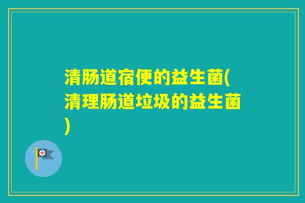 清肠道宿便的益生菌(清理肠道垃圾的益生菌)