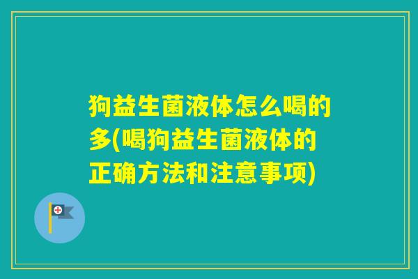 狗益生菌液体怎么喝的多(喝狗益生菌液体的正确方法和注意事项)