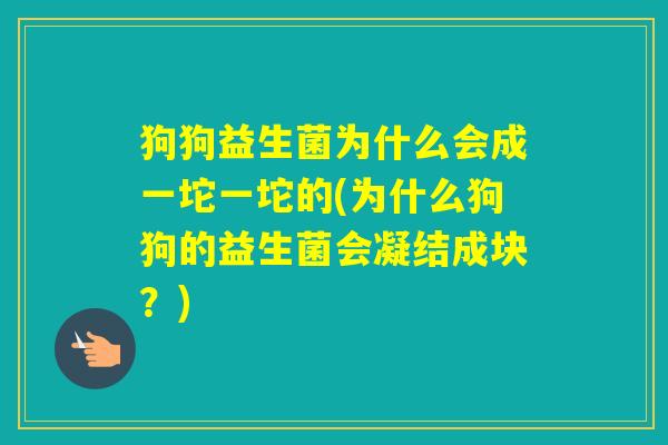 狗狗益生菌为什么会成一坨一坨的(为什么狗狗的益生菌会凝结成块？)