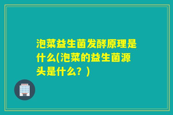 泡菜益生菌发酵原理是什么(泡菜的益生菌源头是什么？)