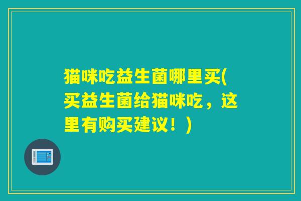 猫咪吃益生菌哪里买(买益生菌给猫咪吃，这里有购买建议！)