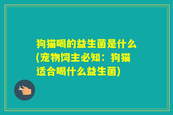 狗猫喝的益生菌是什么(宠物饲主必知：狗猫适合喝什么益生菌)