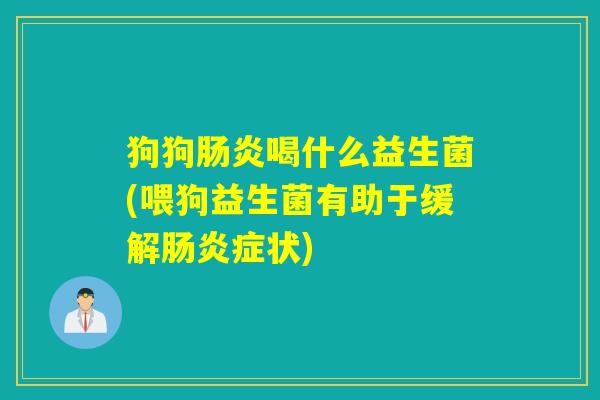 狗狗喝什么益生菌(喂狗益生菌有助于缓解症状)