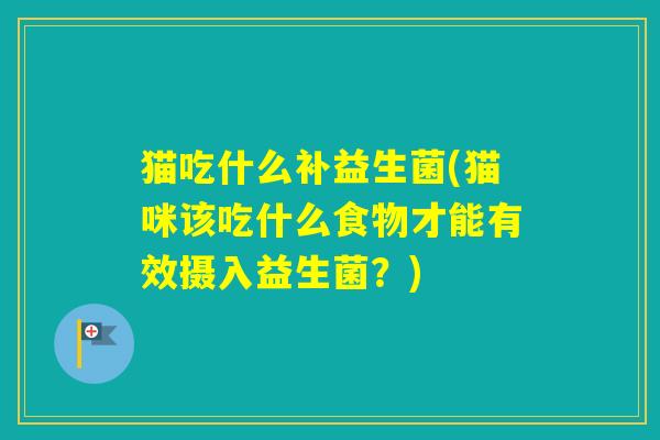 猫吃什么补益生菌(猫咪该吃什么食物才能有效摄入益生菌?) 猫吃什么补益生菌(猫咪该吃什么食物才能有效摄入益生菌?)