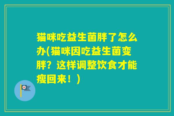 猫咪吃益生菌胖了怎么办(猫咪因吃益生菌变胖?这样调整饮食才能瘦回来!) 猫咪吃益生菌胖了怎么办(猫咪因吃益生菌变胖?这样调整饮食才能瘦回来!)