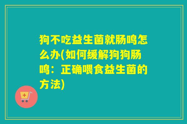 狗不吃益生菌就肠鸣怎么办(如何缓解狗狗肠鸣：正确喂食益生菌的方法)