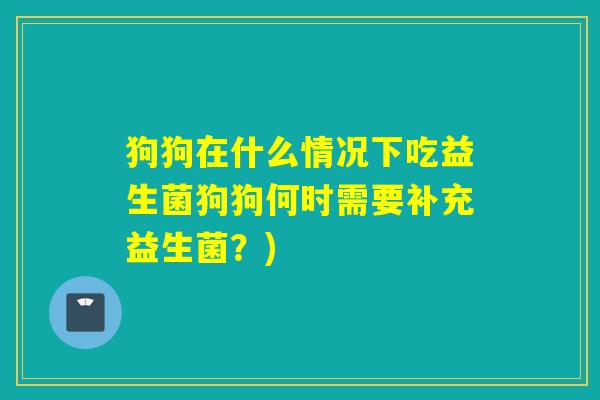 狗狗在什么情况下吃益生菌狗狗何时需要补充益生菌？)