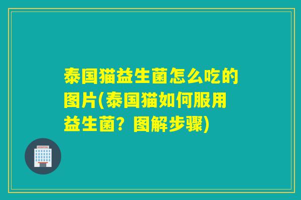 泰国猫益生菌怎么吃的图片(泰国猫如何服用益生菌?图解步骤) 泰国猫益生菌怎么吃的图片(泰国猫如何服用益生菌?图解步骤)