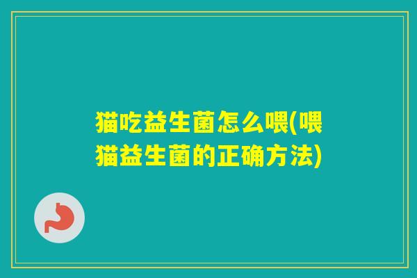 猫吃益生菌怎么喂(喂猫益生菌的正确方法)