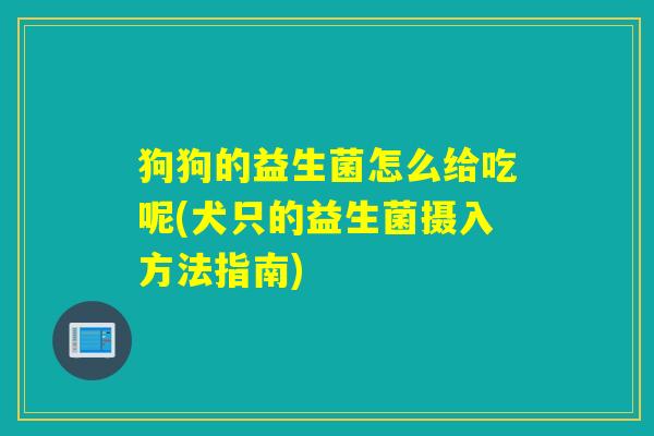 狗狗的益生菌怎么给吃呢(犬只的益生菌摄入方法指南)