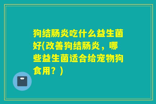 狗结吃什么益生菌好(改善狗结，哪些益生菌适合给宠物狗食用？)
