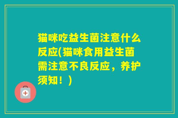 猫咪吃益生菌注意什么反应(猫咪食用益生菌需注意不良反应，养护须知！)