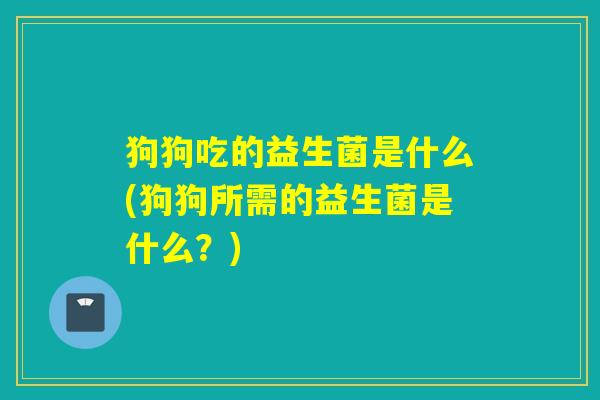 狗狗吃的益生菌是什么(狗狗所需的益生菌是什么？)