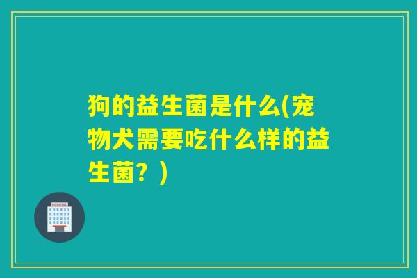 狗的益生菌是什么(宠物犬需要吃什么样的益生菌？)