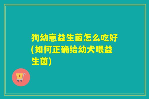 狗幼崽益生菌怎么吃好(如何正确给幼犬喂益生菌)