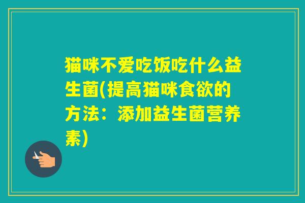 猫咪不爱吃饭吃什么益生菌(提高猫咪的方法：添加益生菌营养素)