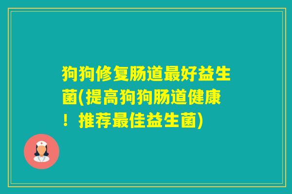 狗狗修复肠道好益生菌(提高狗狗肠道健康!推荐佳益生菌) 狗狗修复肠道好益生菌(提高狗狗肠道健康!推荐佳益生菌)