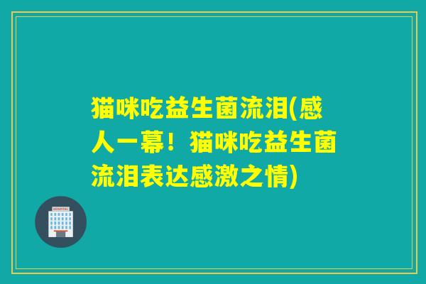 猫咪吃益生菌流泪(感人一幕！猫咪吃益生菌流泪表达感激之情)