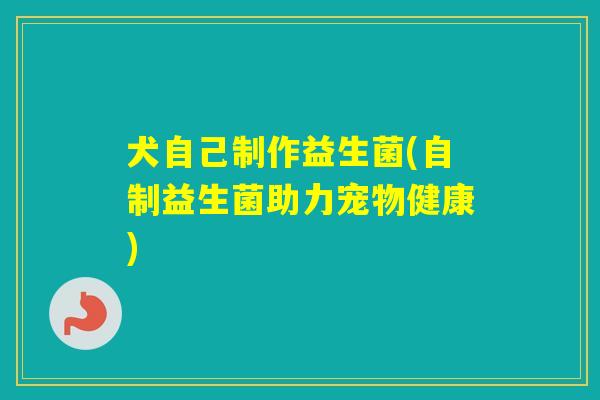 犬自己制作益生菌(自制益生菌助力宠物健康)
