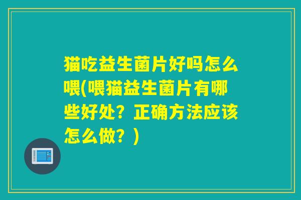 猫吃益生菌片好吗怎么喂(喂猫益生菌片有哪些好处？正确方法应该怎么做？)