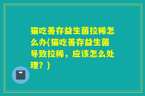 猫吃善存益生菌拉稀怎么办(猫吃善存益生菌导致拉稀，应该怎么处理？)