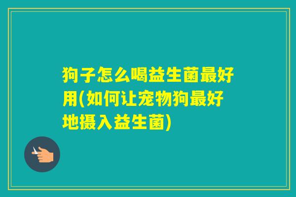 狗子怎么喝益生菌好用(如何让宠物狗好地摄入益生菌)