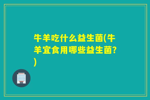 牛羊吃什么益生菌(牛羊宜食用哪些益生菌？)