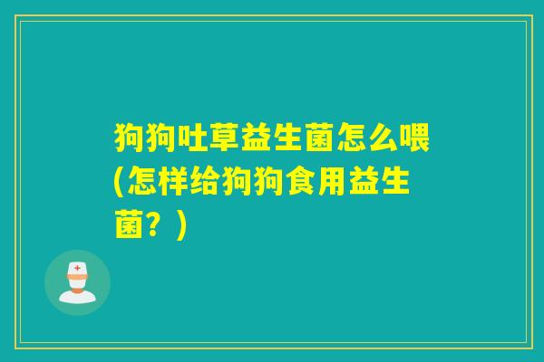 狗狗吐草益生菌怎么喂(怎样给狗狗食用益生菌？)