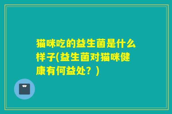 猫咪吃的益生菌是什么样子(益生菌对猫咪健康有何益处?) 猫咪吃的益生菌是什么样子(益生菌对猫咪健康有何益处?)