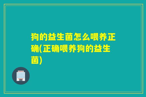 狗的益生菌怎么喂养正确(正确喂养狗的益生菌)